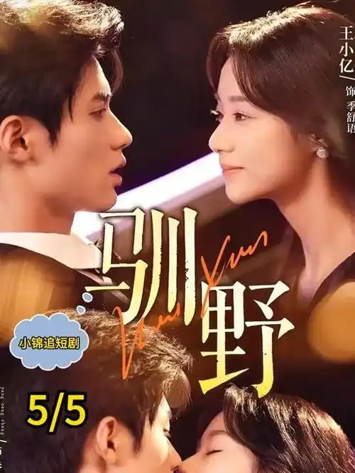 长夜将尽 海报